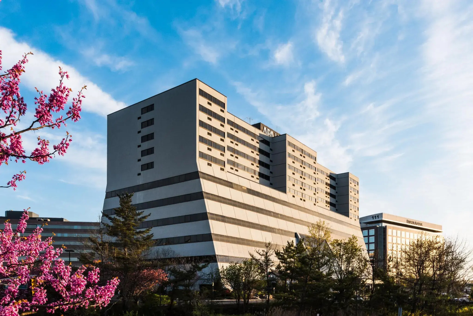 Photo - APA Hotel Woodbridge