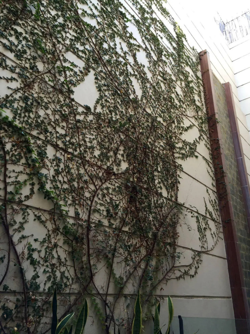 Photo - Purobaires Hotel Boutique