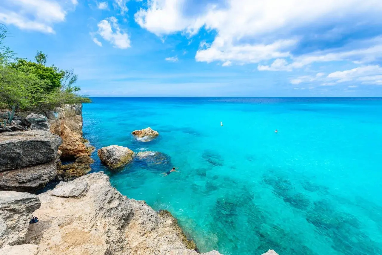 Foto - The Royal Sea Aquarium Resort