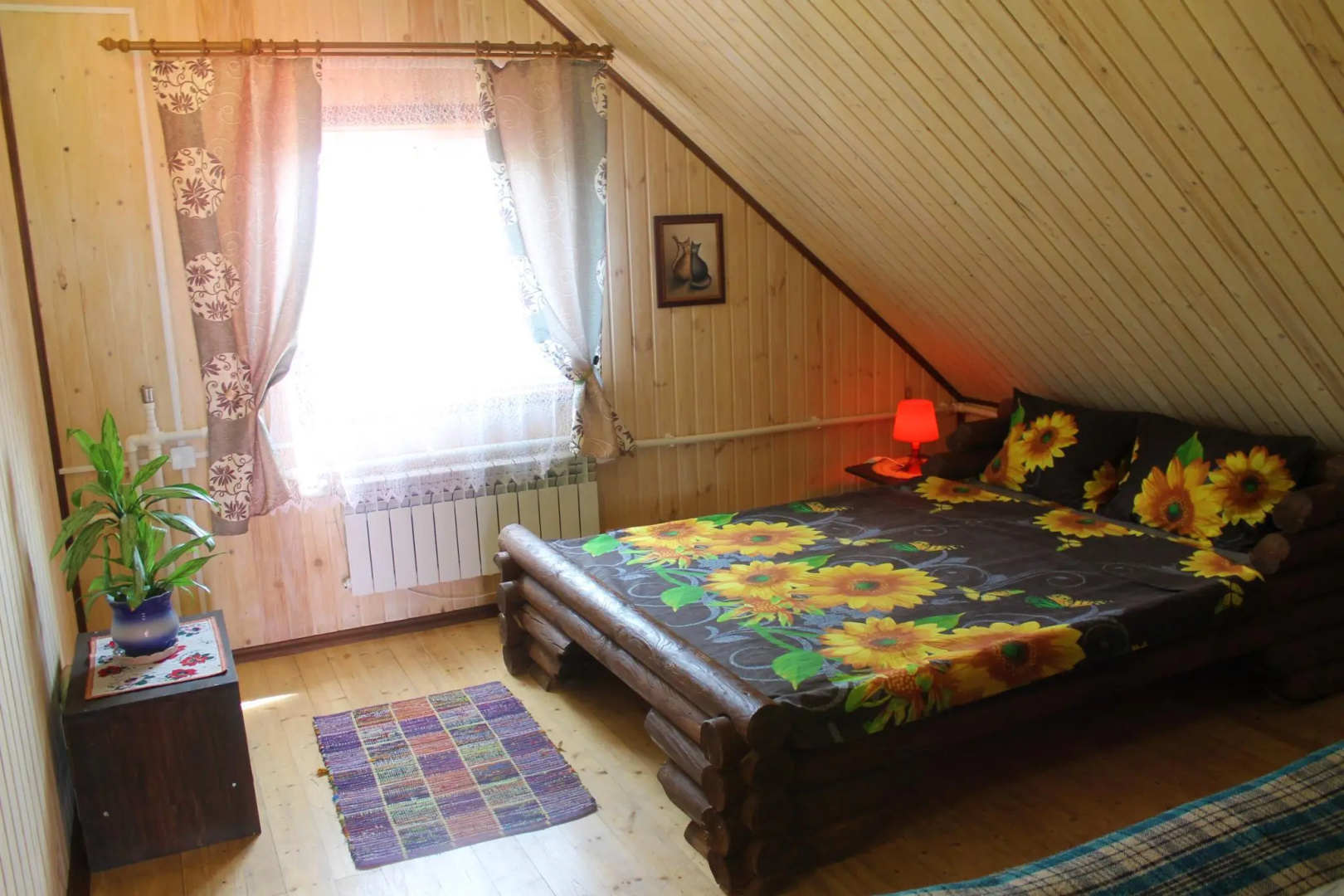 Подсолнух