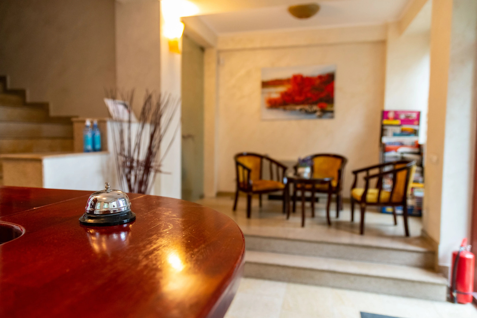 Foto - Hotel Cantemir