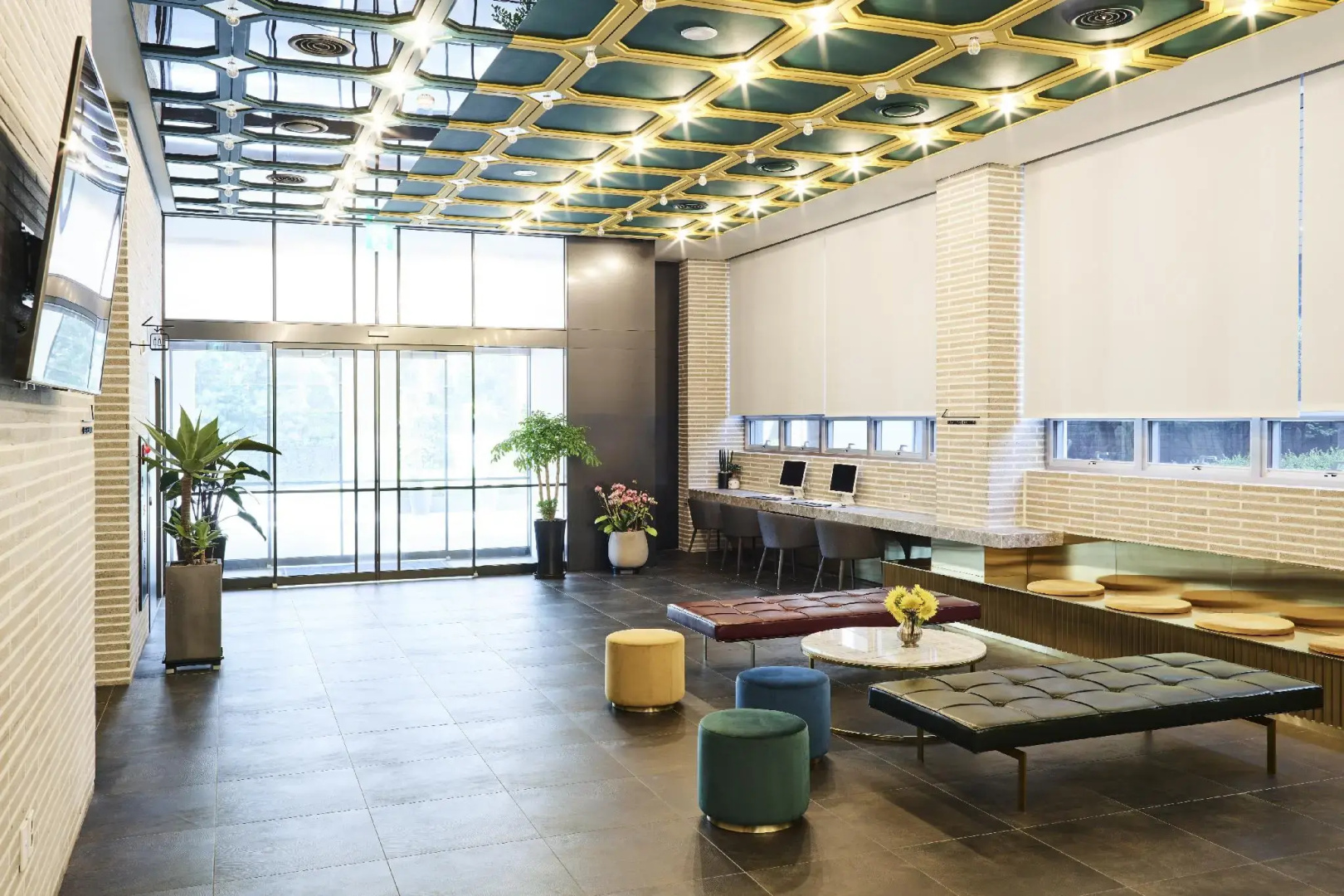 Foto - Hotel Newv