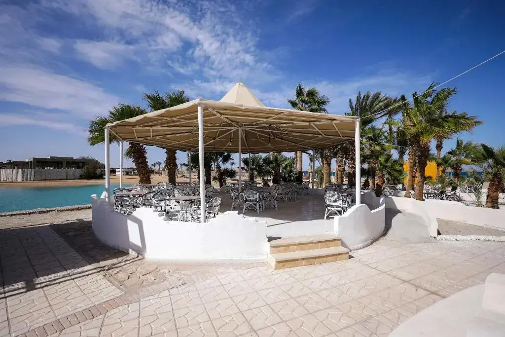 Photo - Calimera Blend Paradise