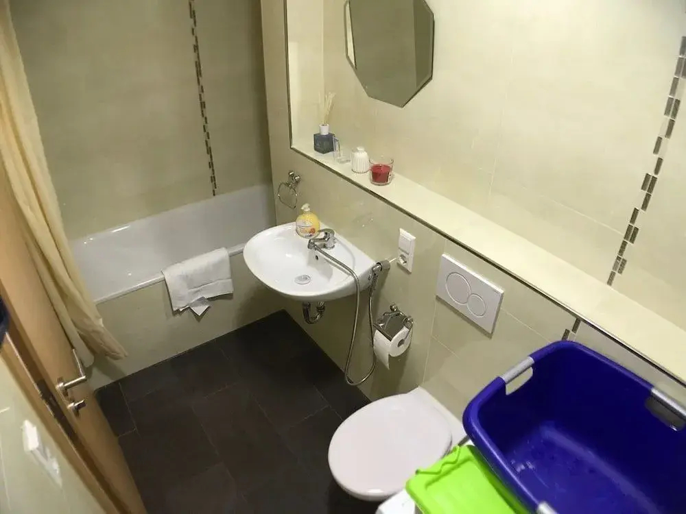 Photo - Sahara Falcon