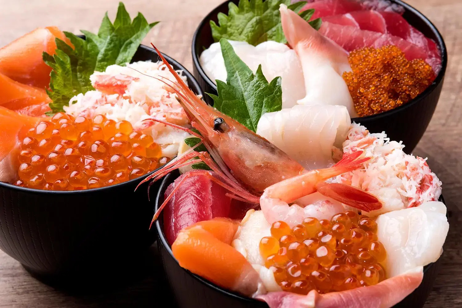 Foto - Rembrandt Style Sapporo