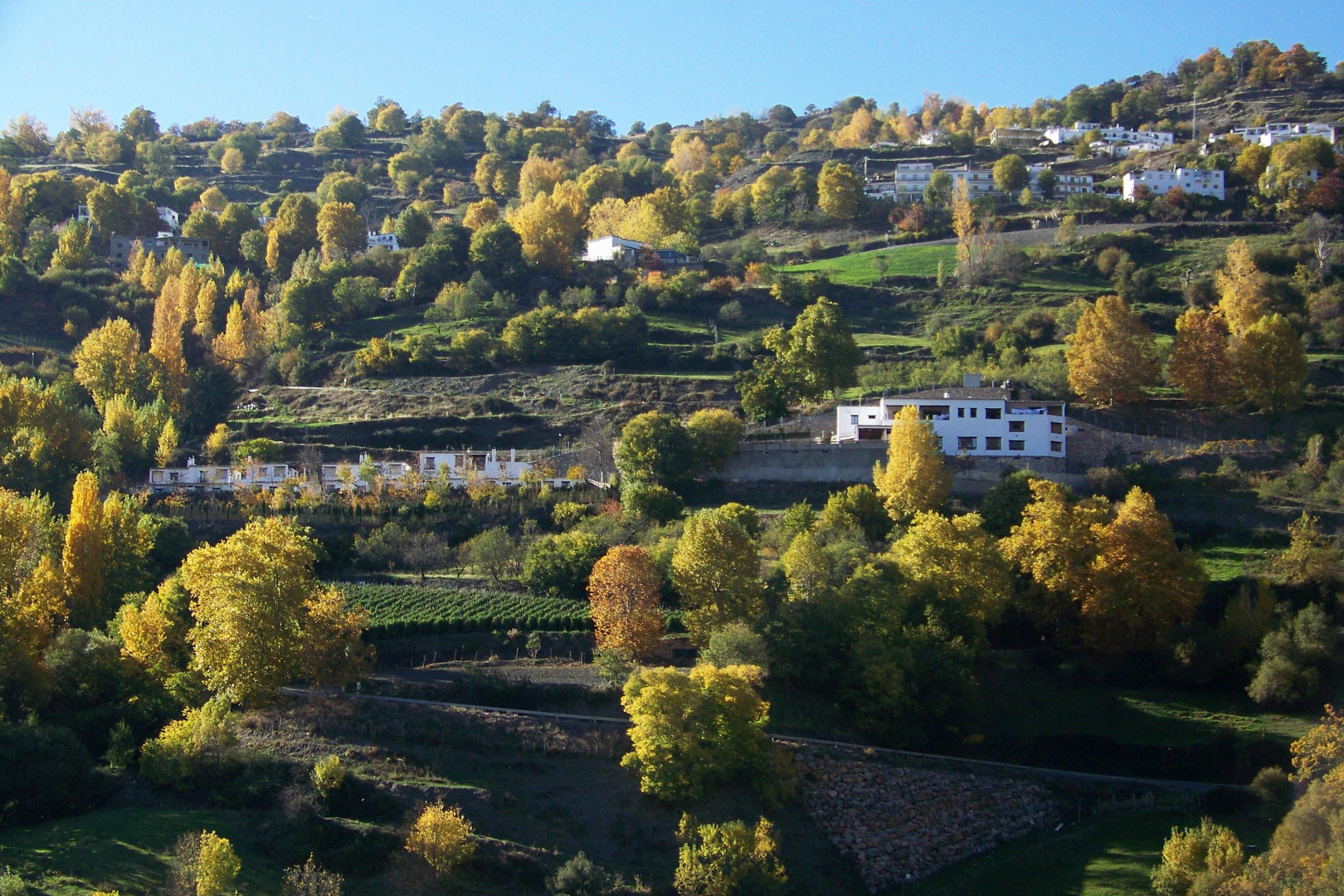 Foto - Turismo Rural & SPA El Cercado