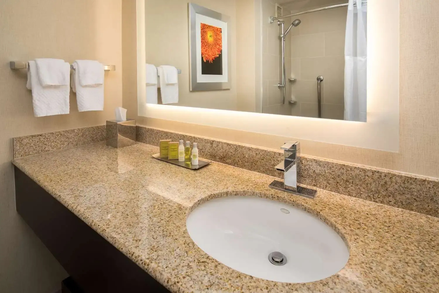 Photo - DoubleTree by Hilton San Francisco Airport