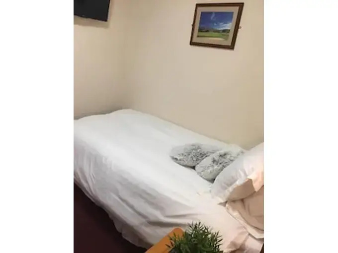 Foto - Terra Nova Hotel