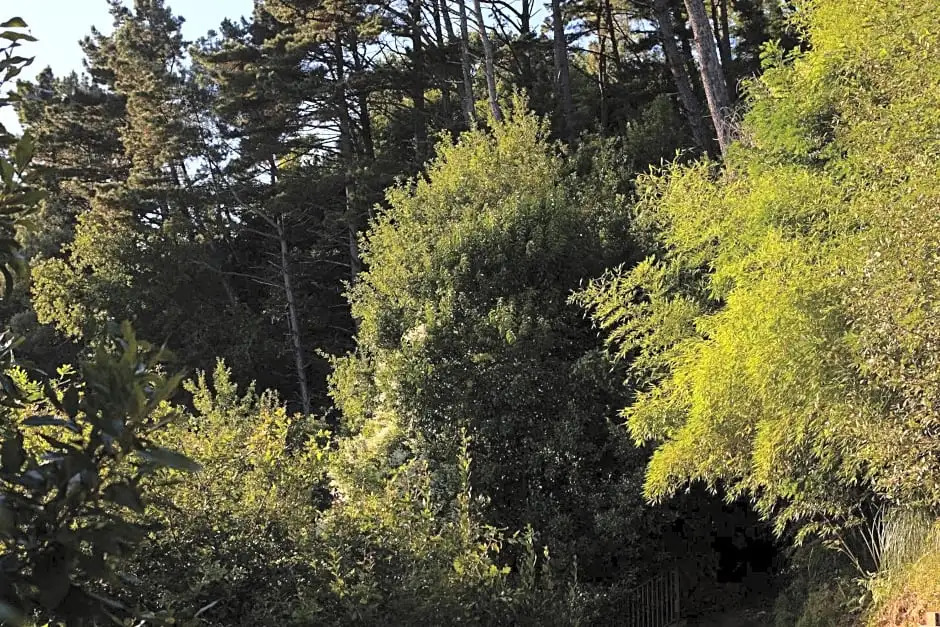 Foto - Boutique Hotel Mendi Argia