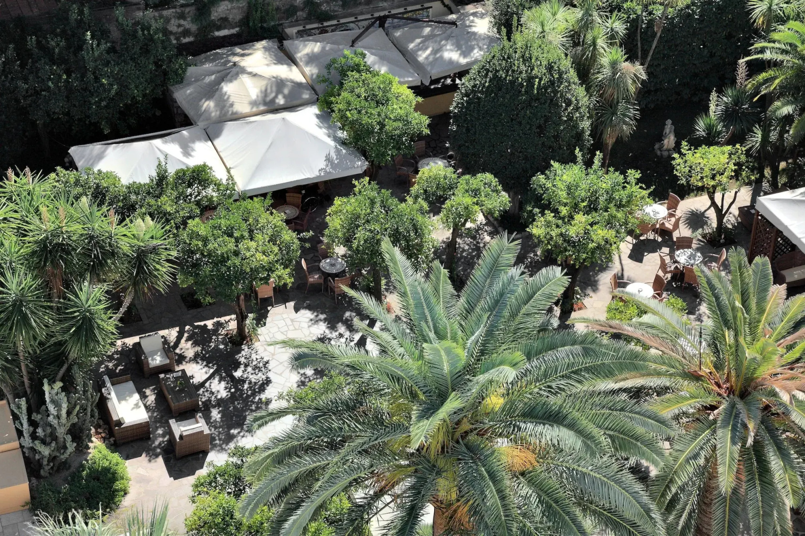 Foto - Hotel Mediterraneo Sorrento