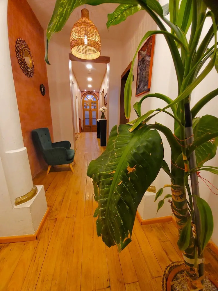 Photo - Sun Backpackers