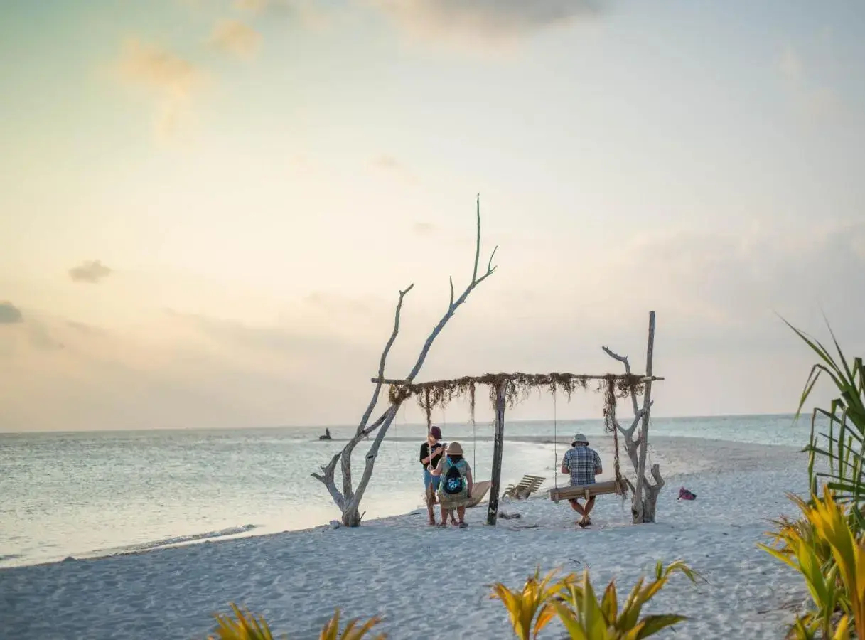 Photo - Turtle Maldives - Your Gateway to the Beach & Marine Adventures Await!