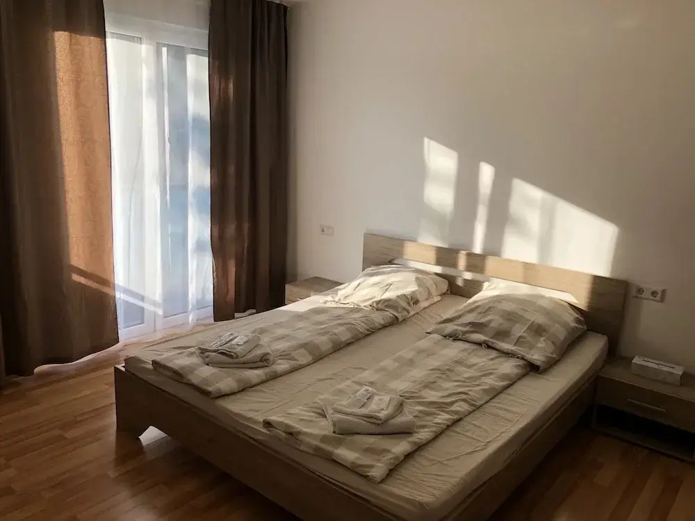 Photo - Sahara Falcon