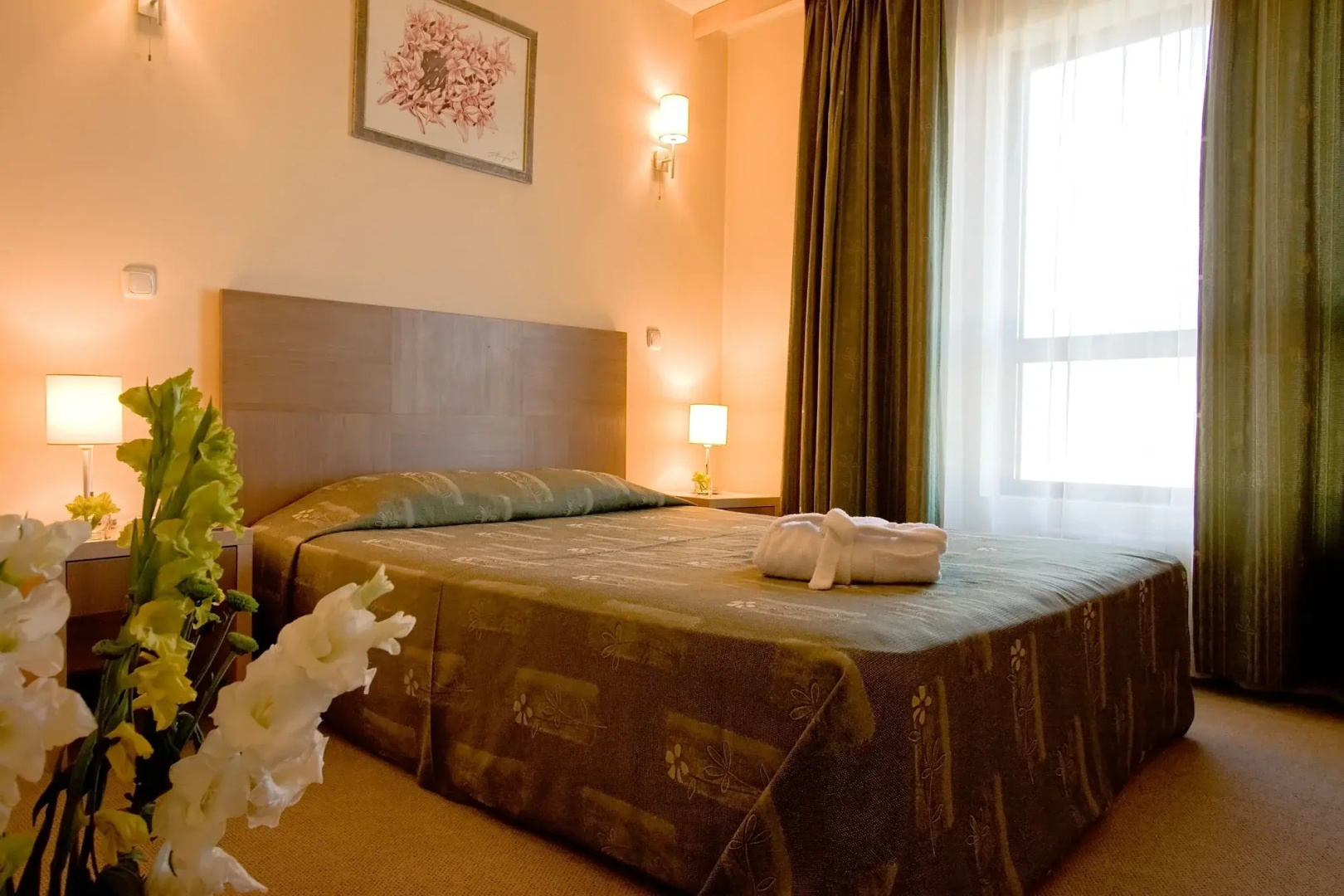 Photo - Vitosha Park Hotel