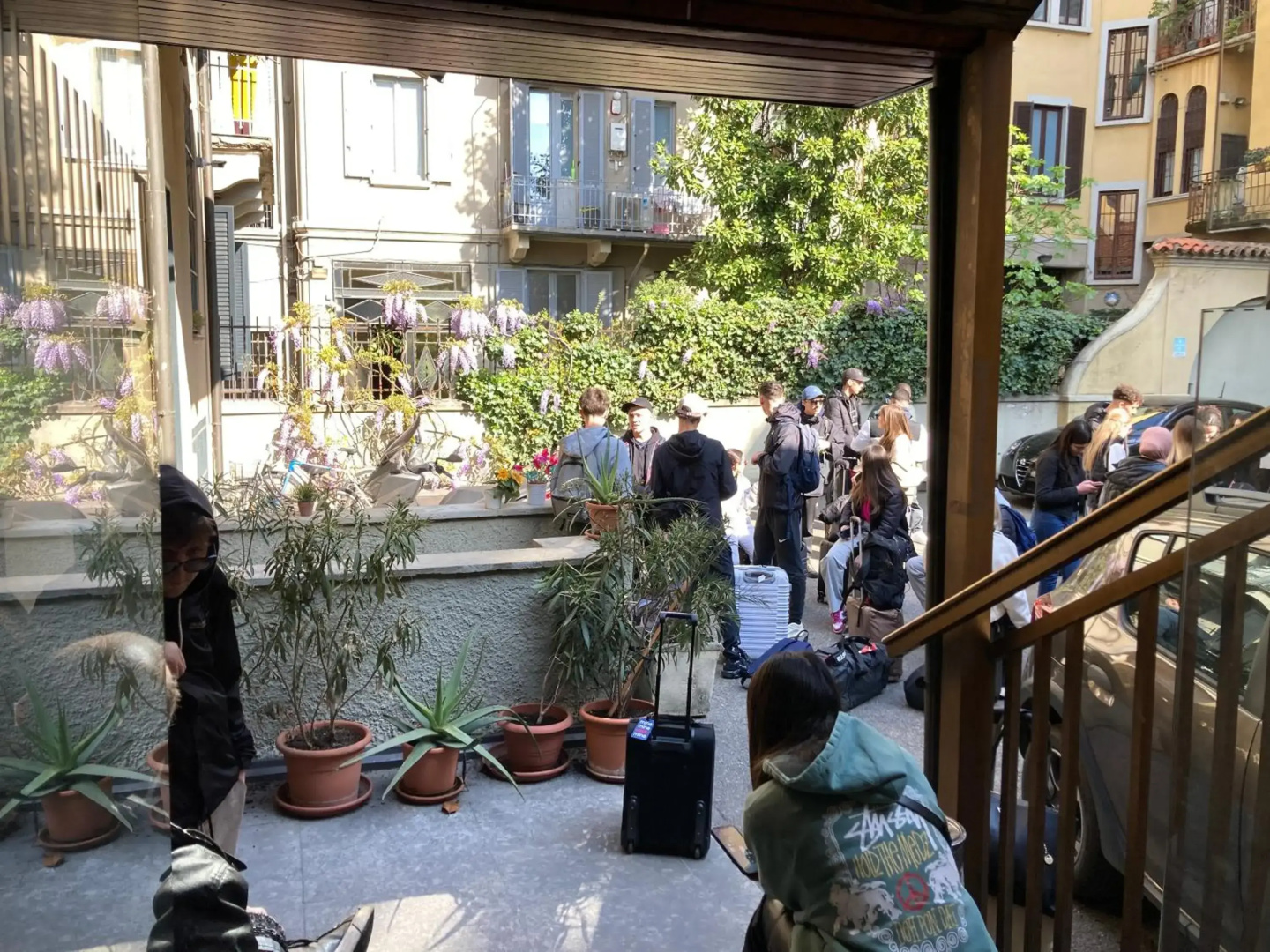 Photo - Koala Hostel