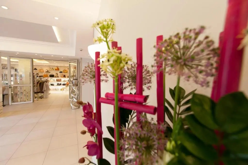 Foto - Hotel Paradis
