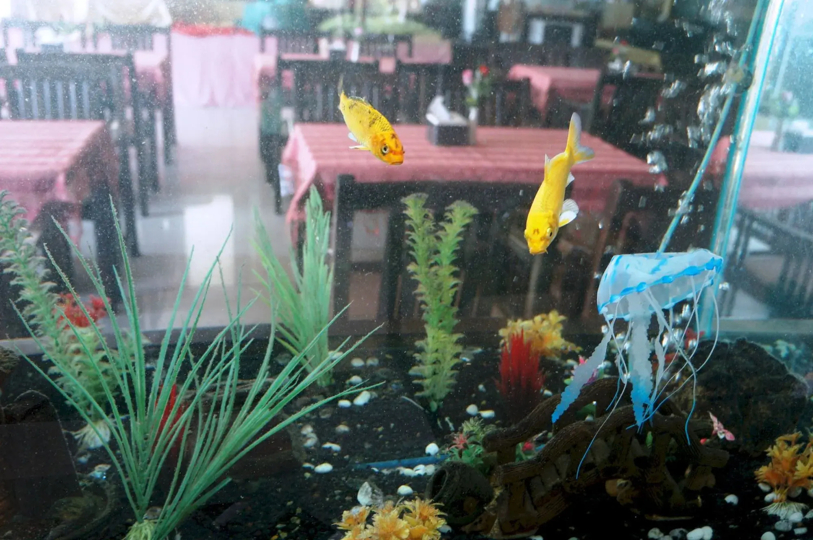 Foto - Noble Place Chiangmai