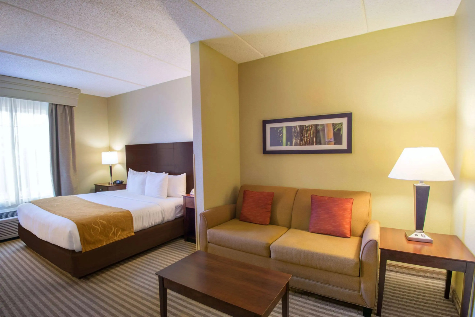 Photo - Comfort Suites Near Universal Orlando Resort