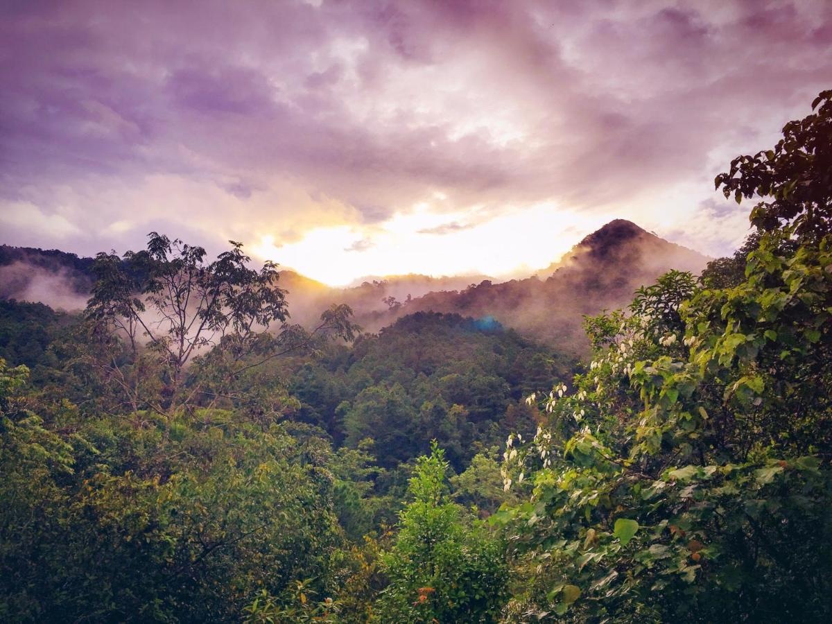 Paradise Wild Hills