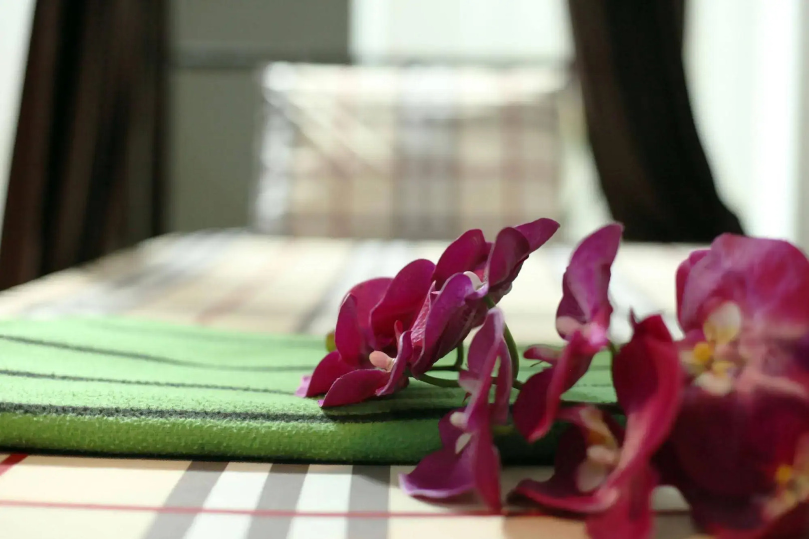 Foto - Sakura Hostel Saigon