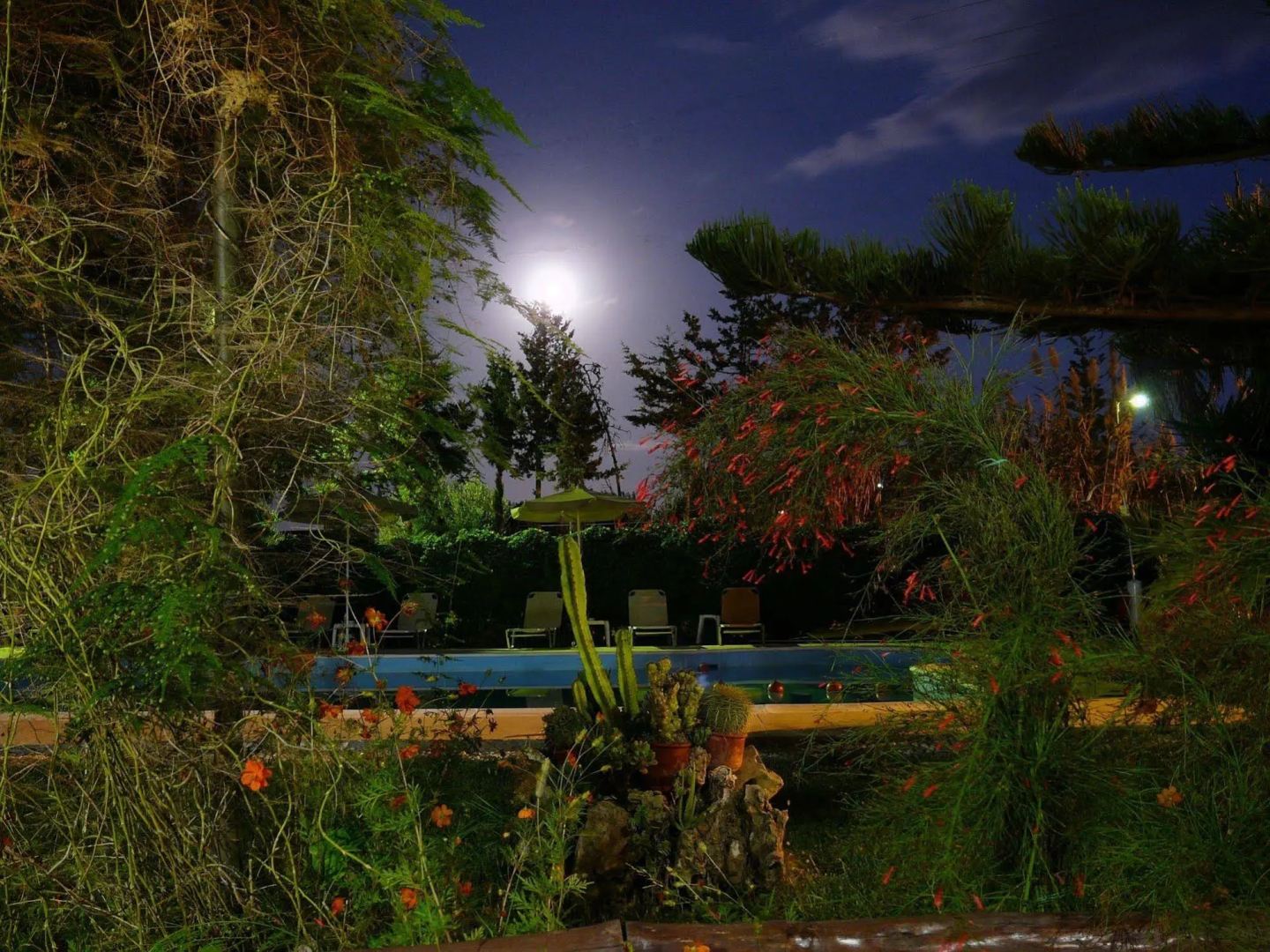 Photo - Summer Lodge