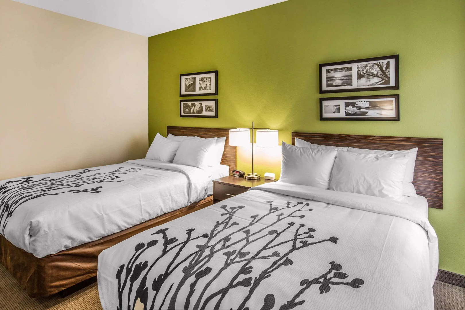 Photo - Sleep Inn Dallas Love Field - Medical District