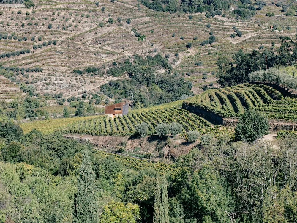Foto - Quinta de Recião