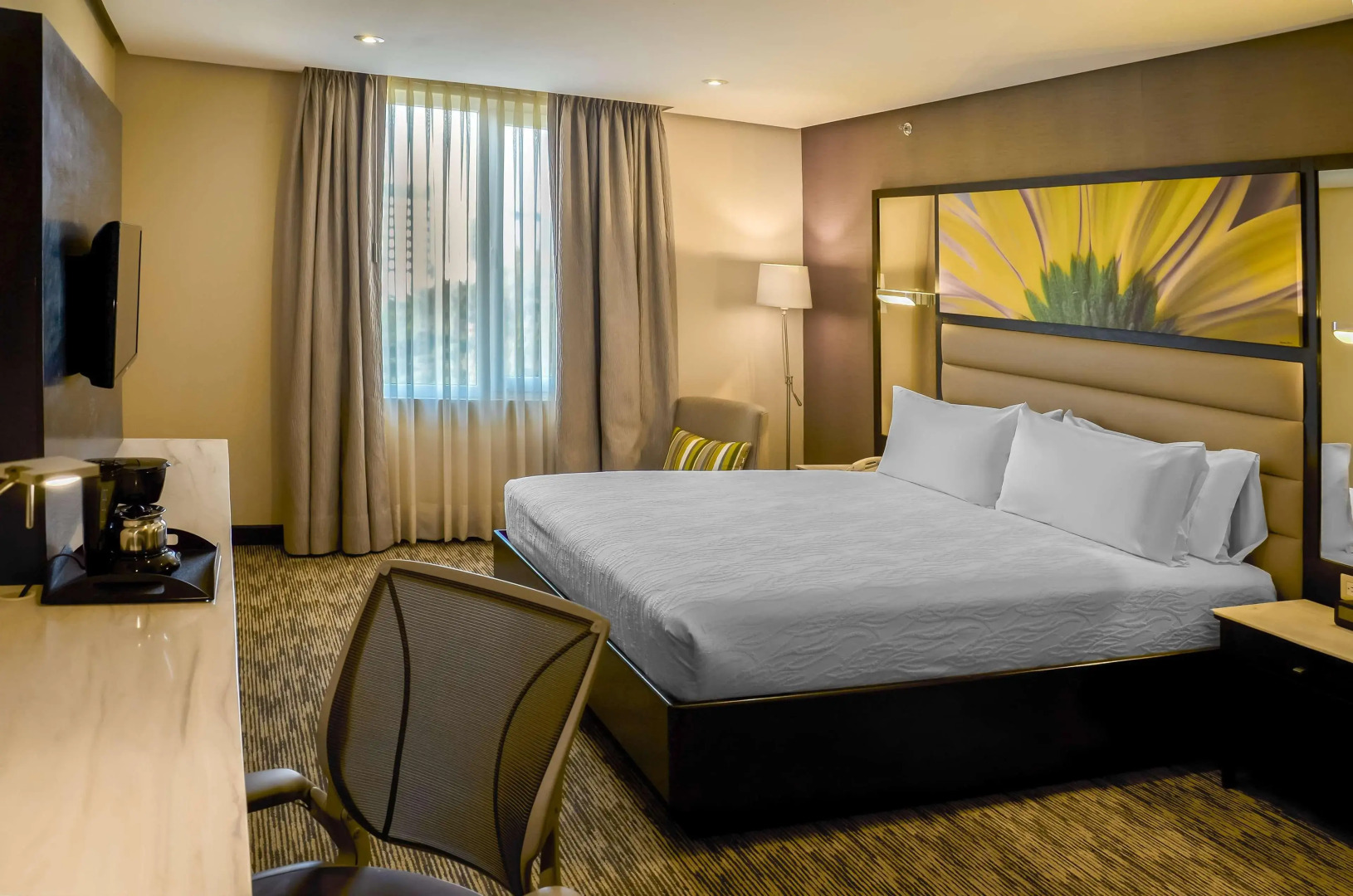 Foto - Hilton Garden Inn Guatemala City