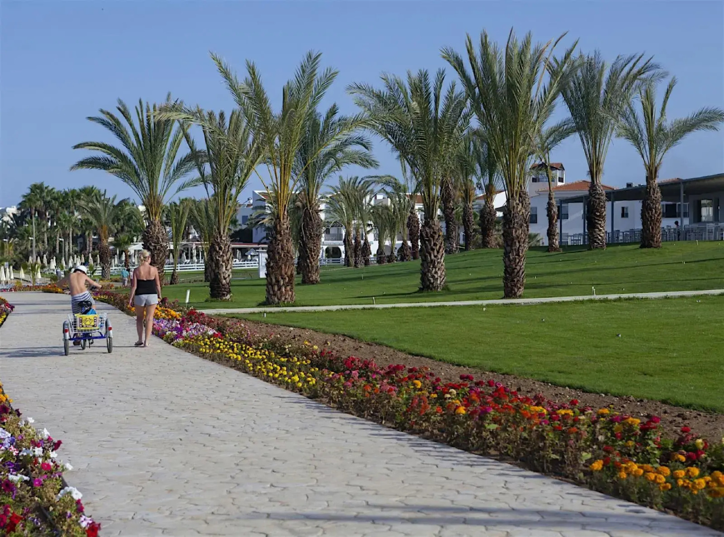 Foto - King Evelthon Beach Hotel & Resort