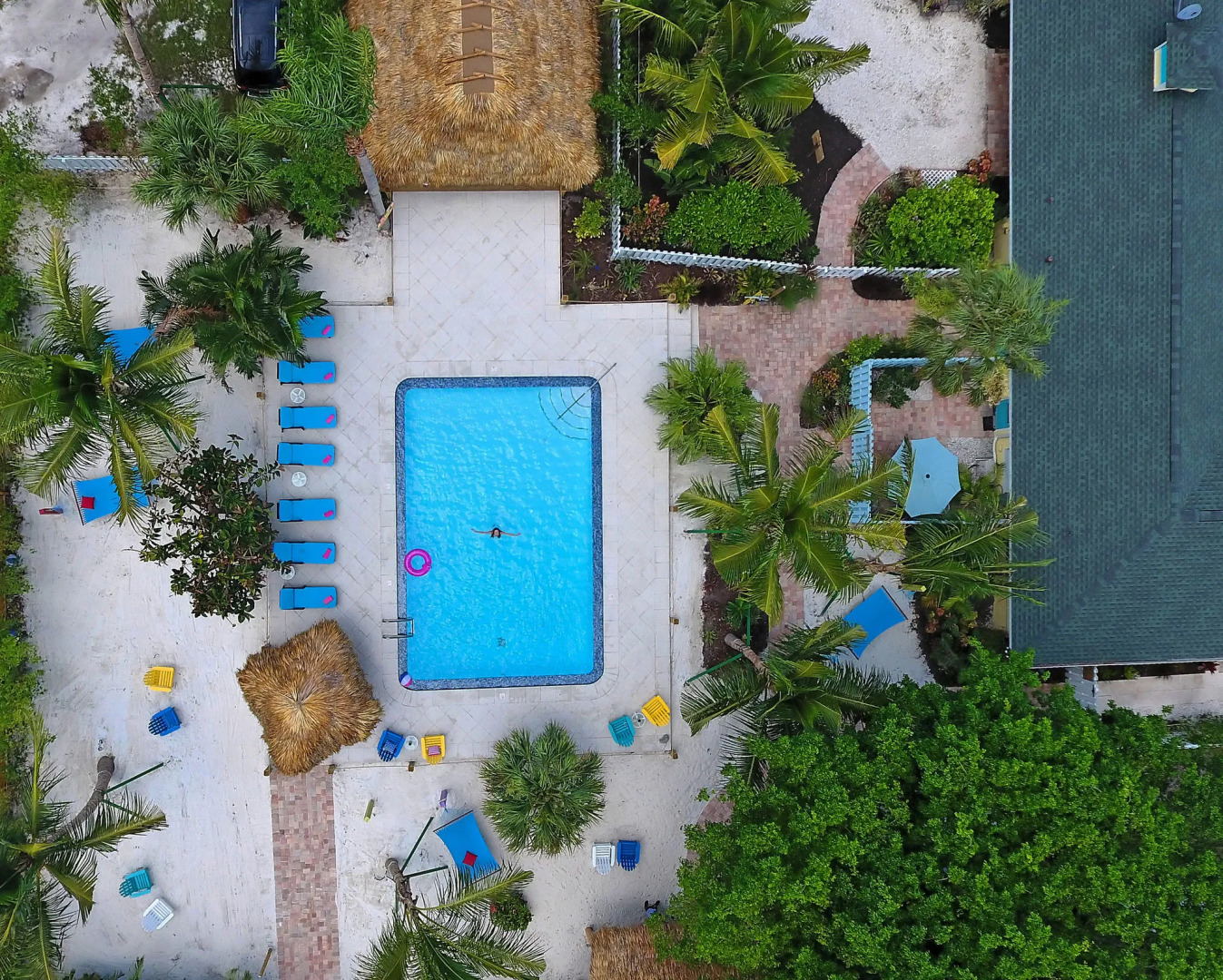 Foto - Siesta Key Palms Resort