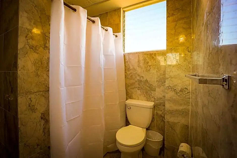 Foto - Coral by the Sea