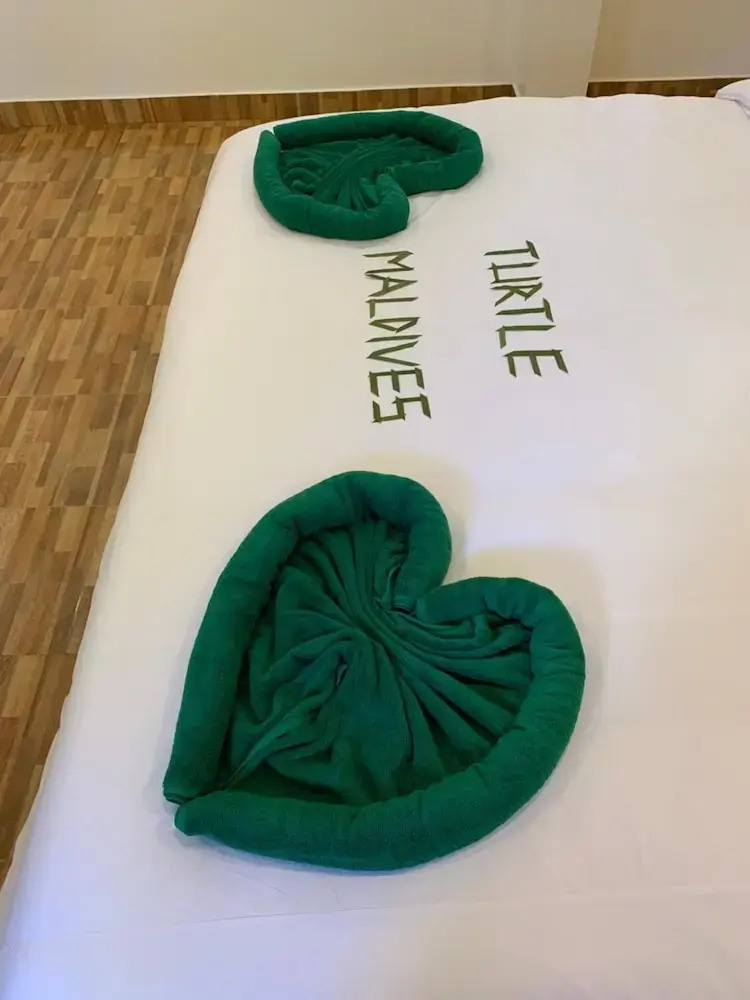 Photo - Turtle Maldives - Your Gateway to the Beach & Marine Adventures Await!