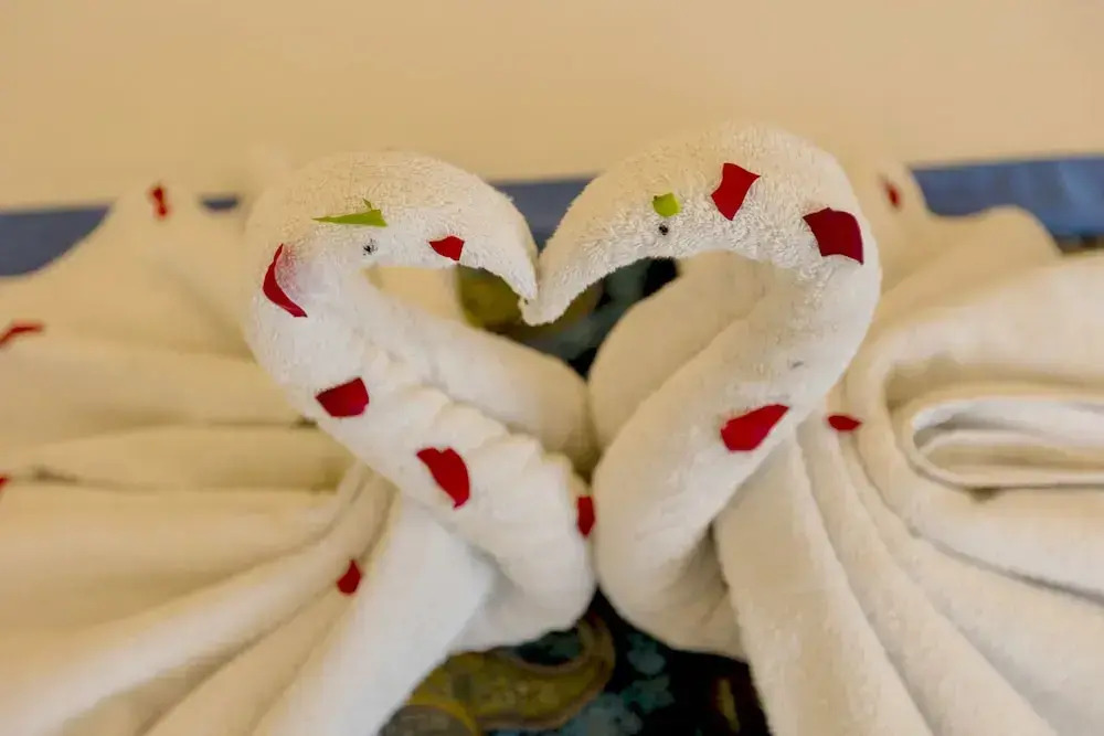 Foto - OPO Horizon Vertu