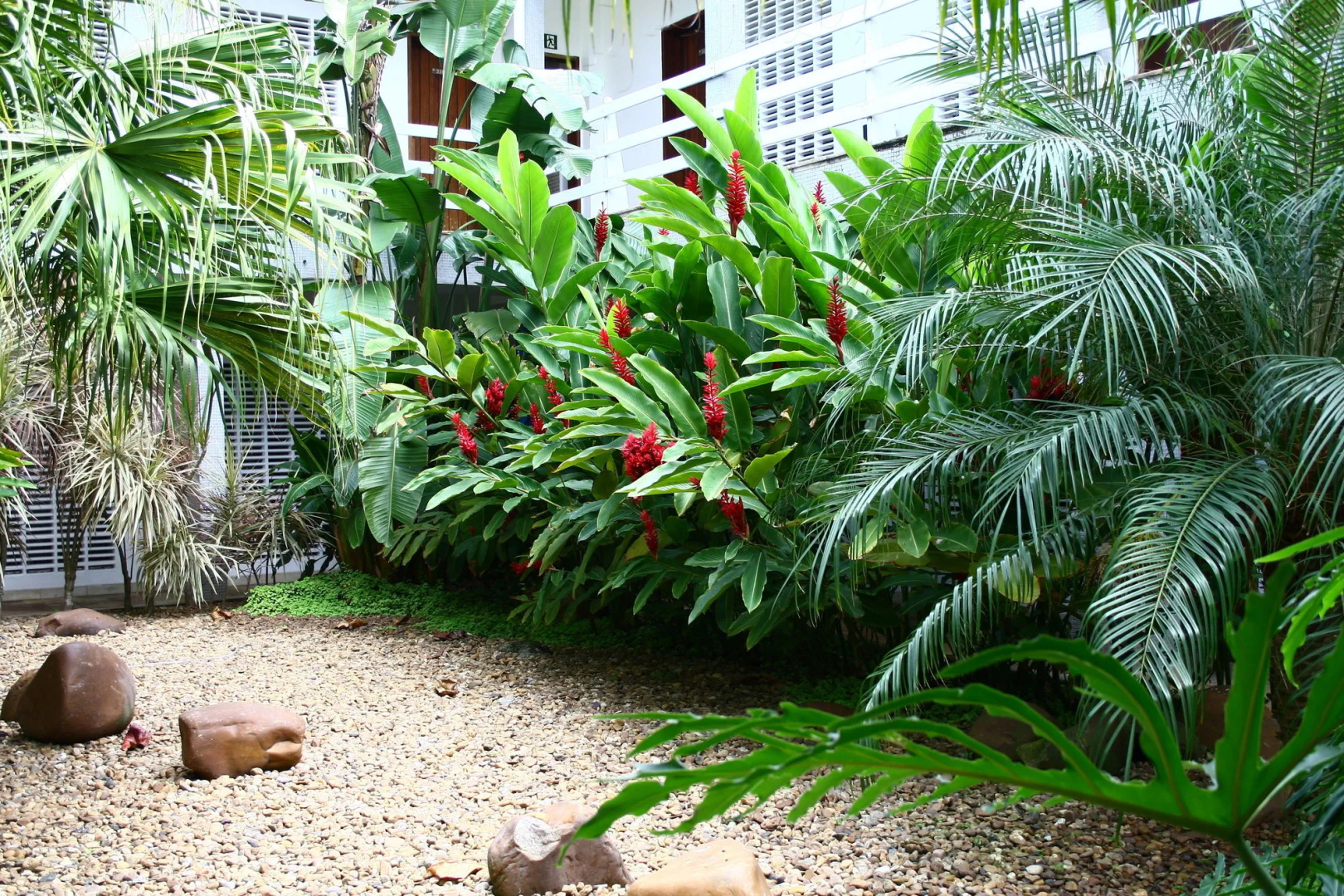 Foto - Delphin Beach Hotel