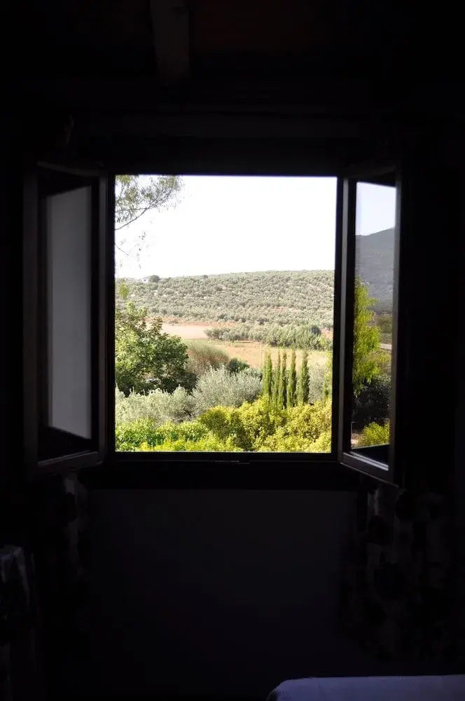 Foto - Rural La Paloma