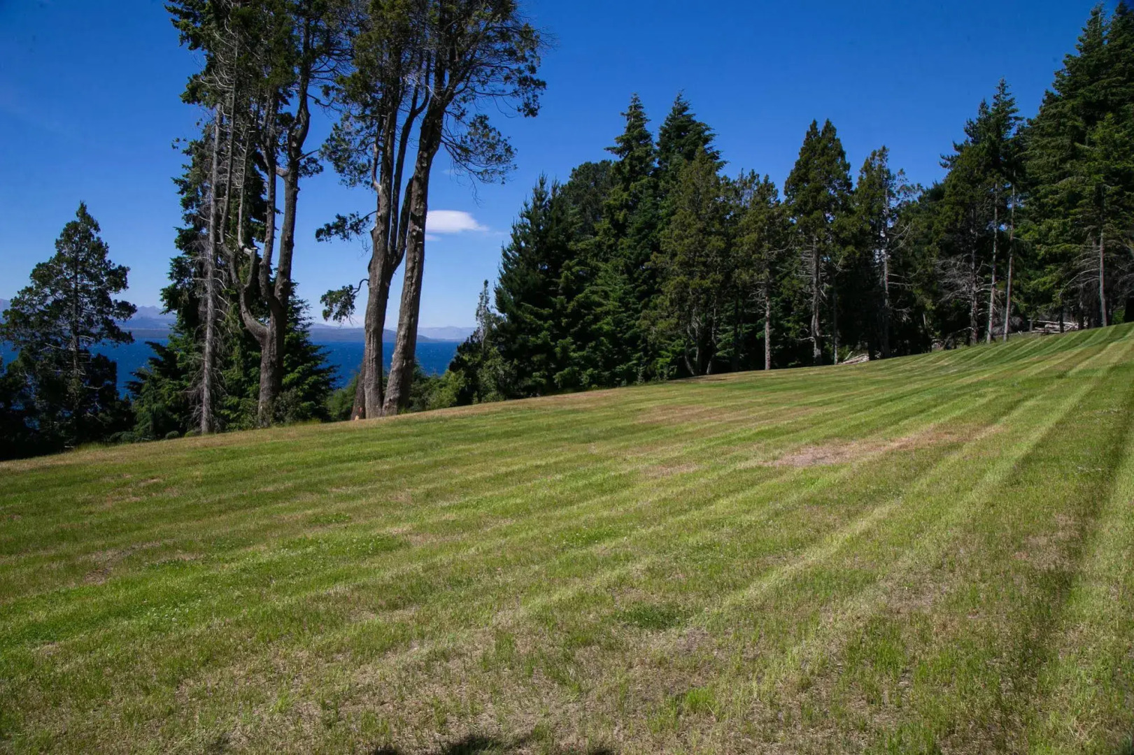 Foto - Huinid Pioneros Hotel & Aparts