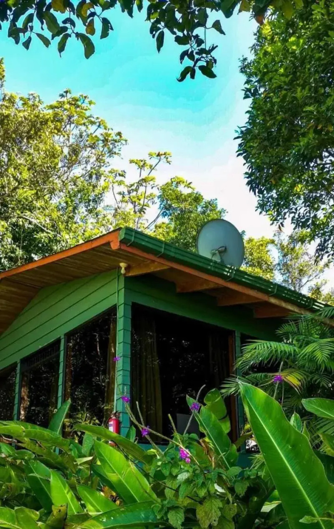 Foto - Hotel Flor de Bromelia
