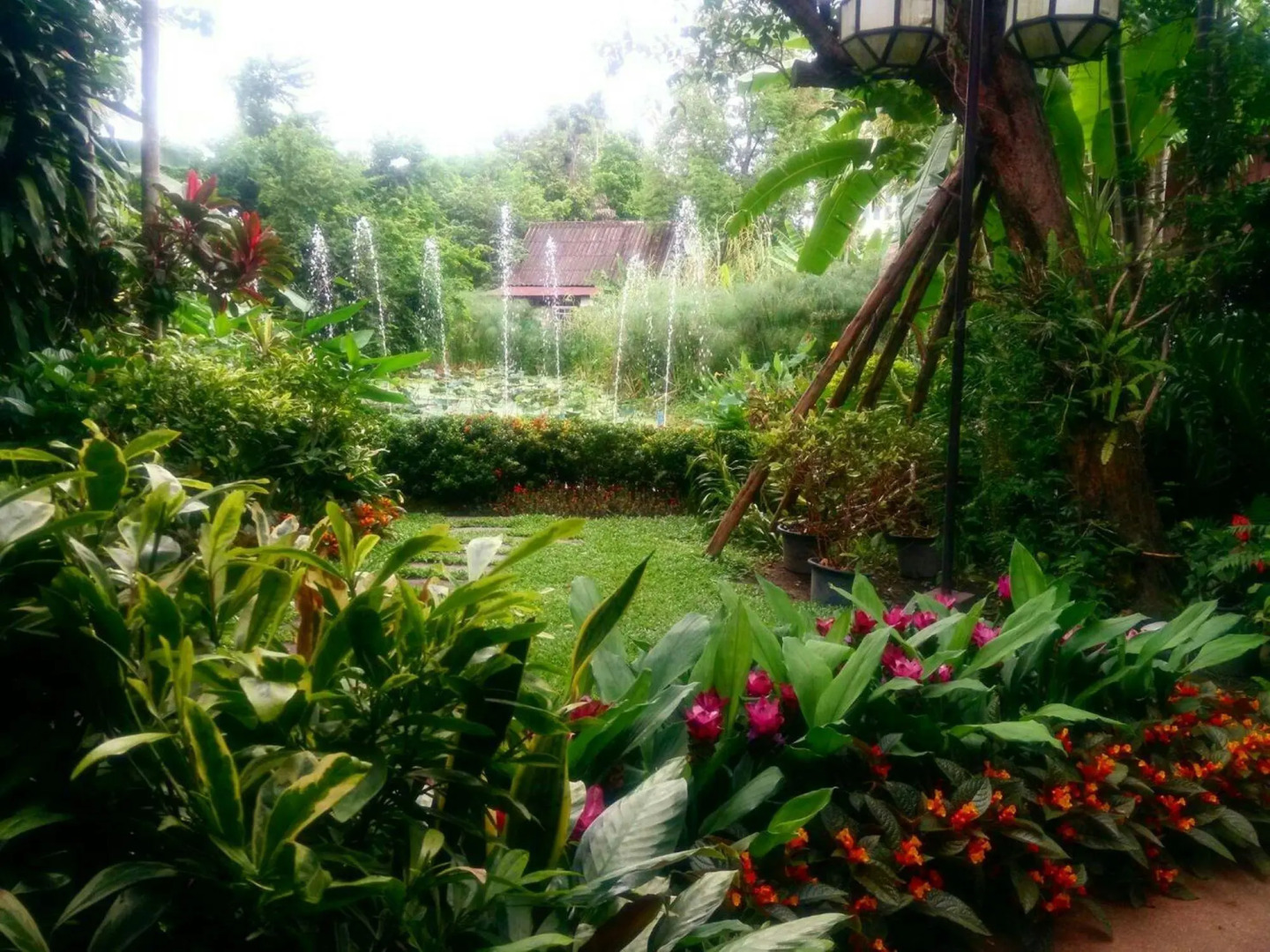 Foto - Viang Thapae Resort