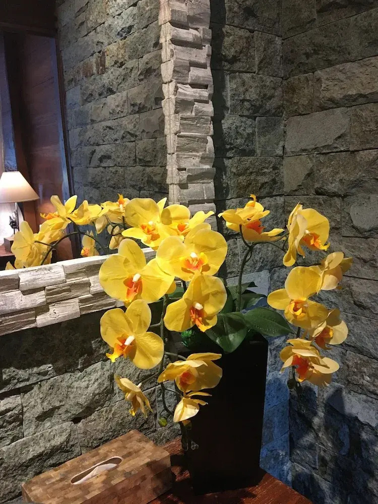 Foto - The Jungle Villa