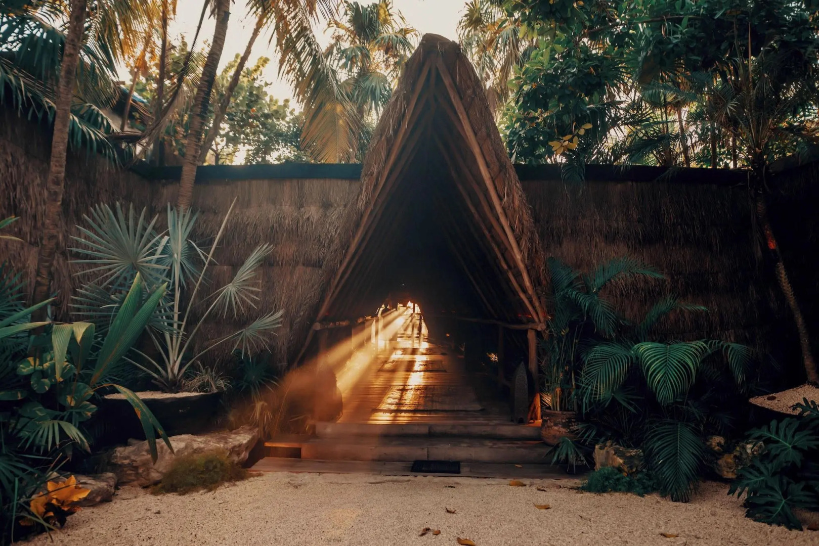 Photo - Radhoo Tulum