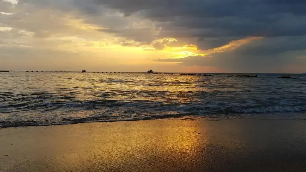 Foto - Jellyfish Hostel