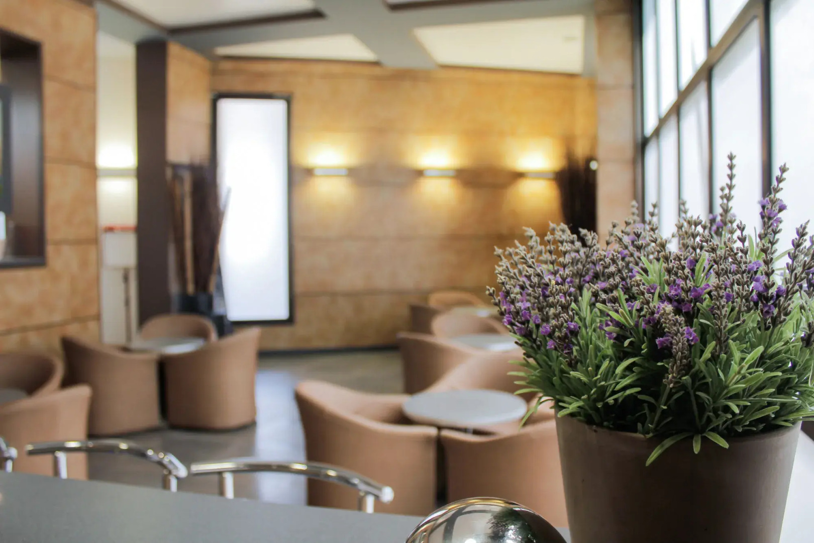 Foto - greet hotel Marseille Parc Chanot Velodrome