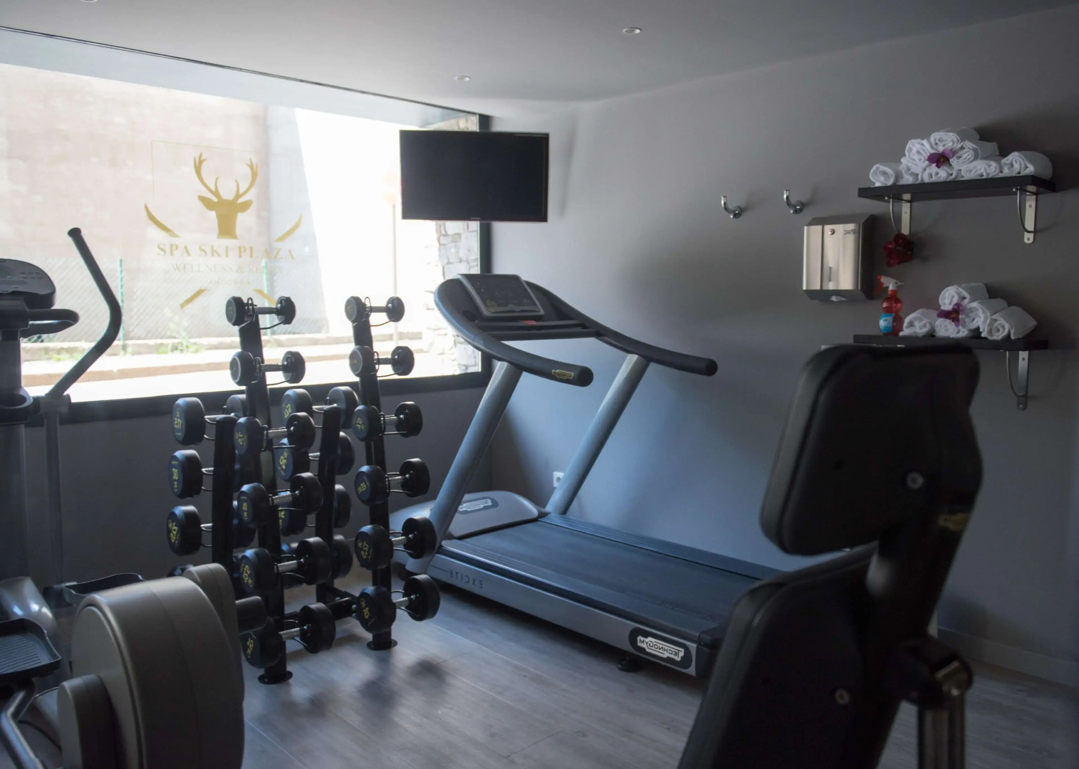 Photo - Ski Plaza Hotel & Wellness