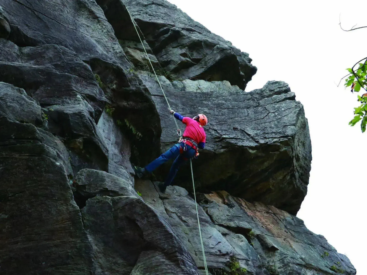 Foto - Hotel Royal Beitou