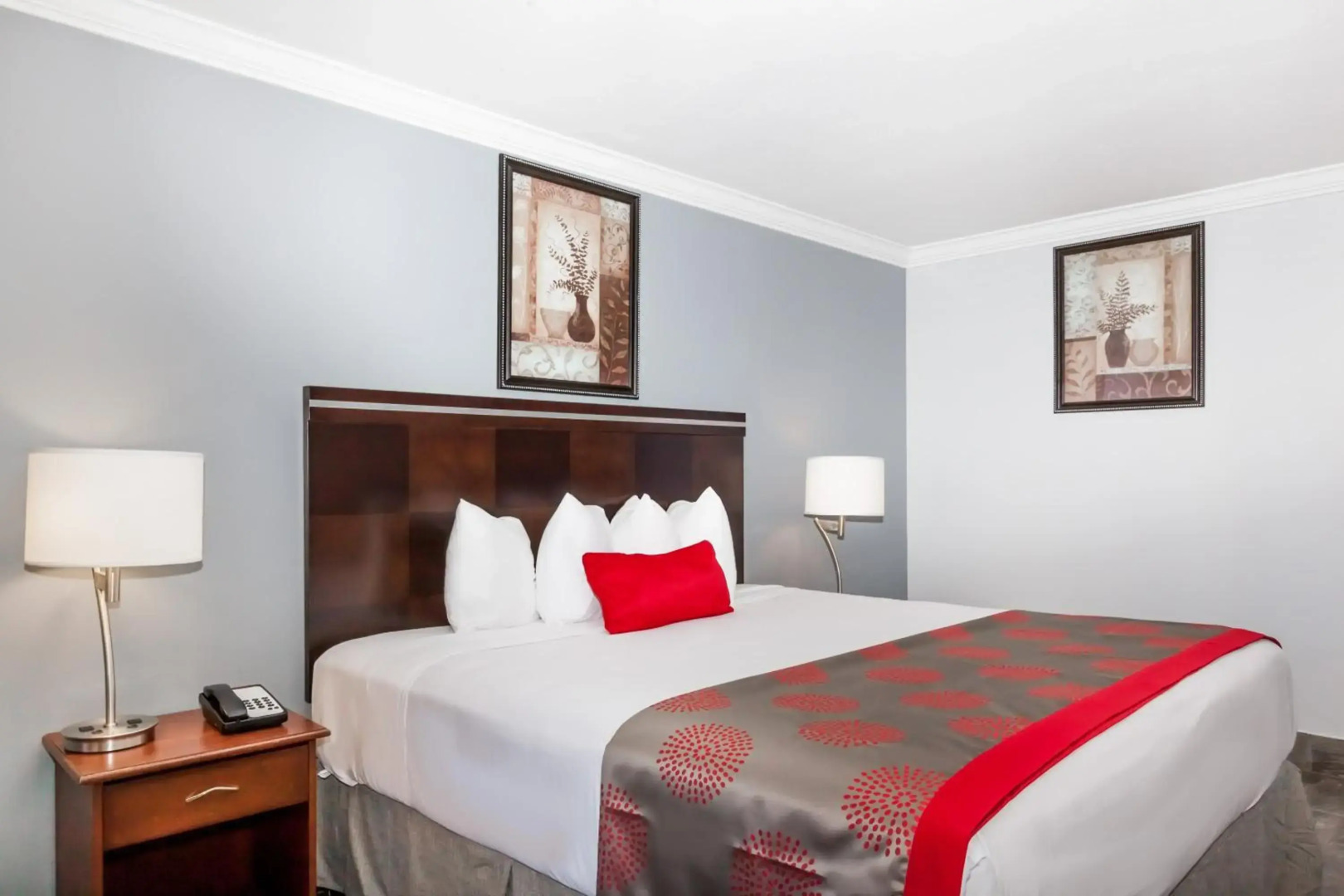 Foto - Hotel Van Belle