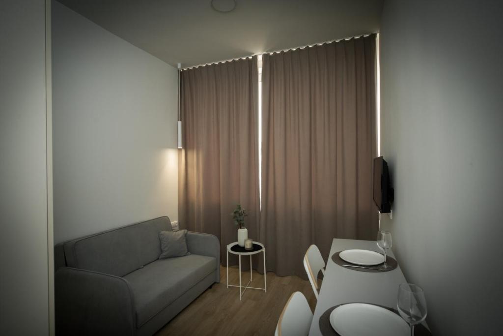 Studio apartment in Laisvės alėja