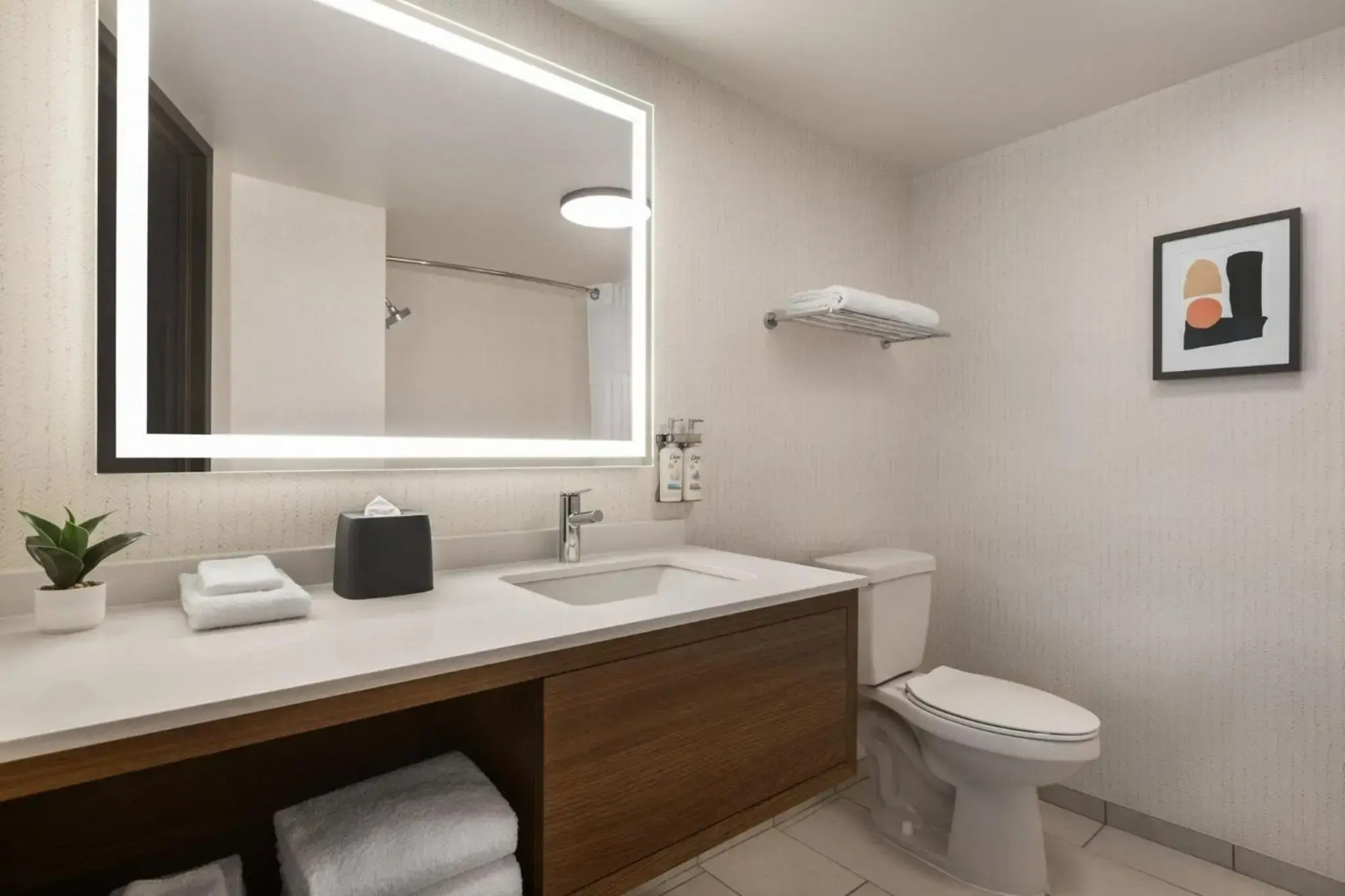 Foto - The Westin Tampa Waterside