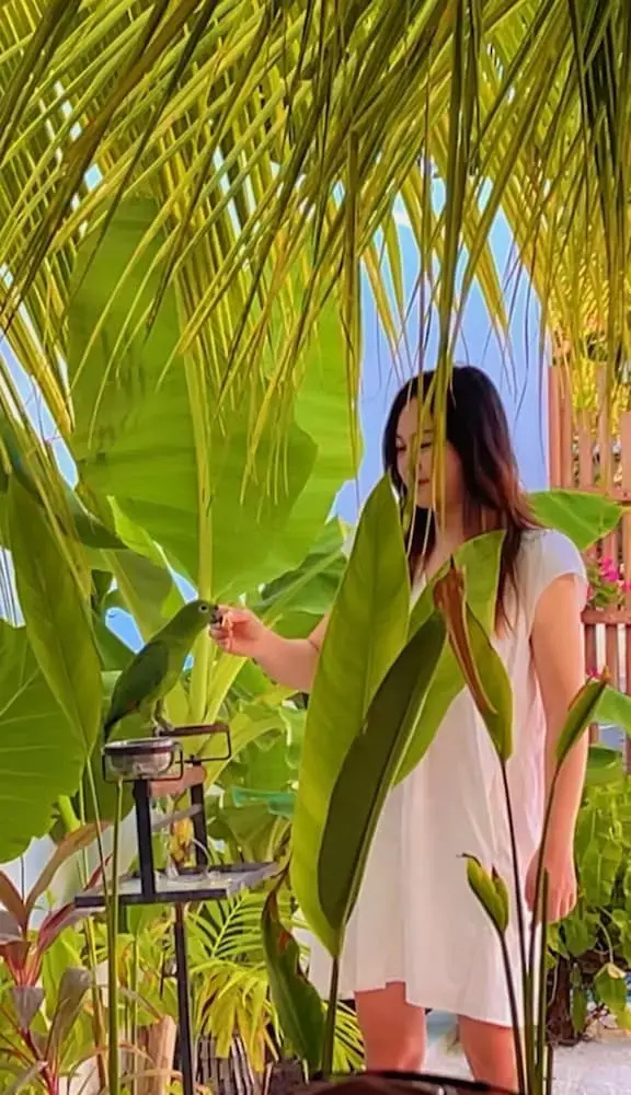Photo - Oasis Dhigurah