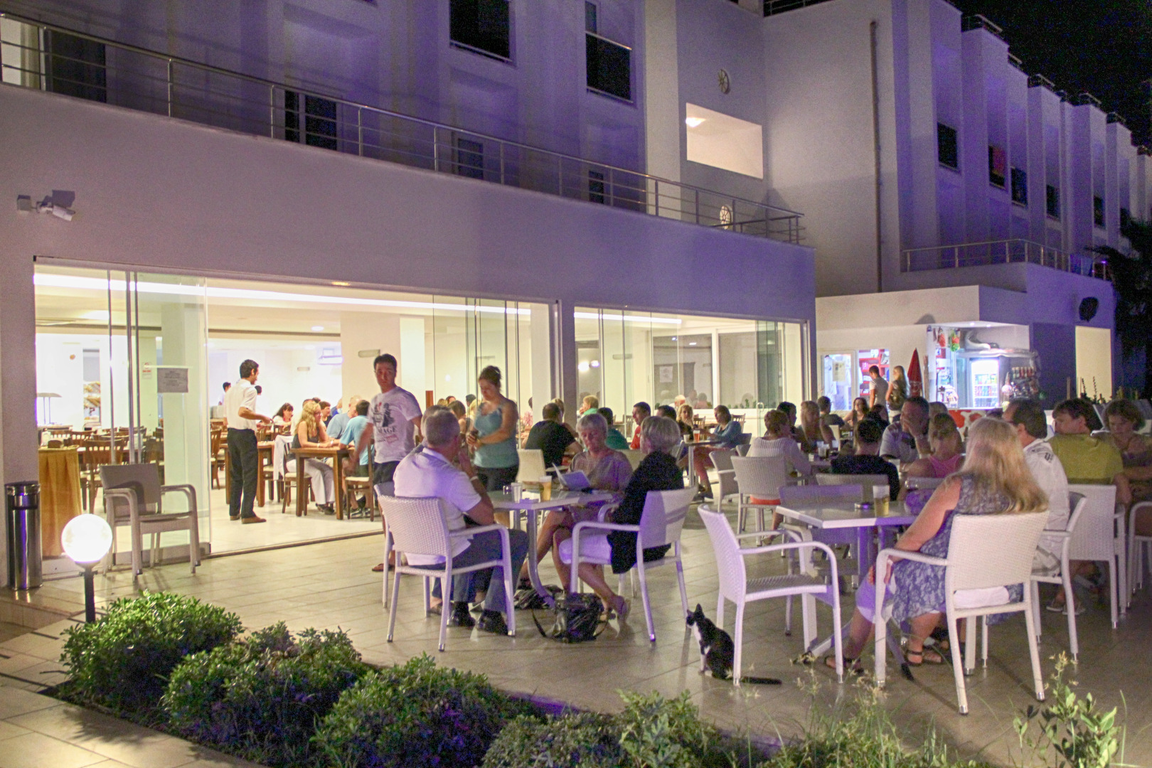 Photo - Club Shark Hotel