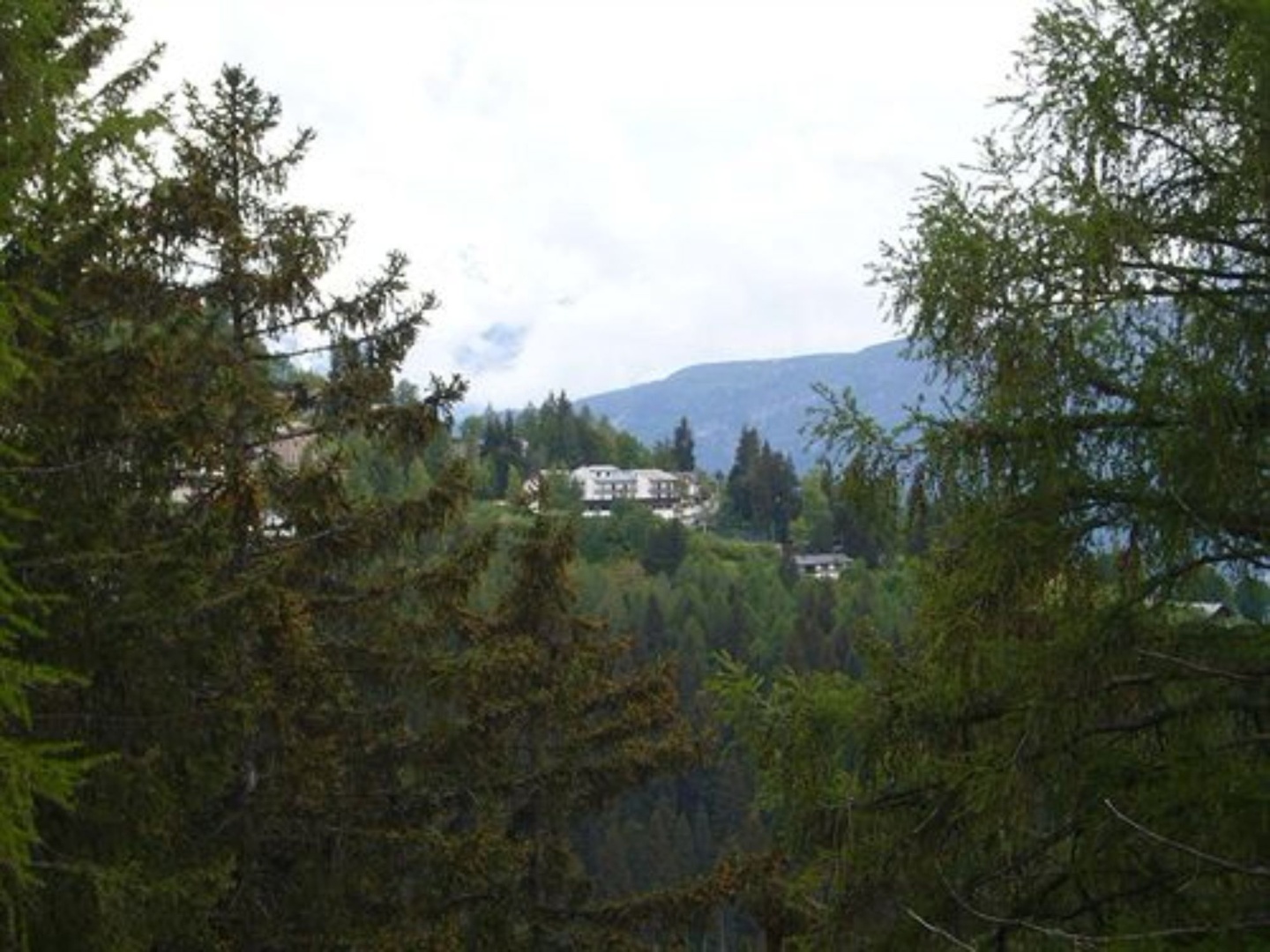 Foto - Hotel Monte Bondone
